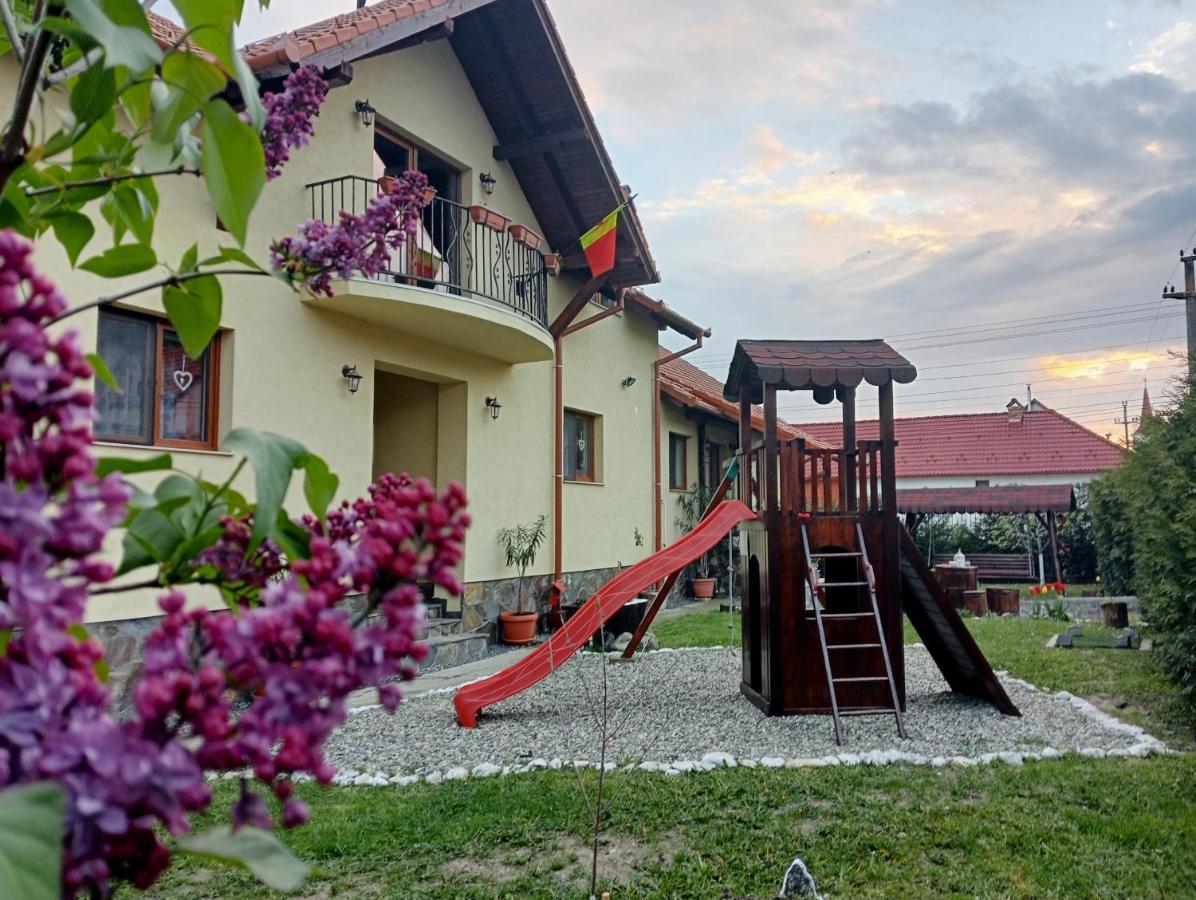 Casa Raisa & Maria Hotel Ocna Sibiului Luaran gambar