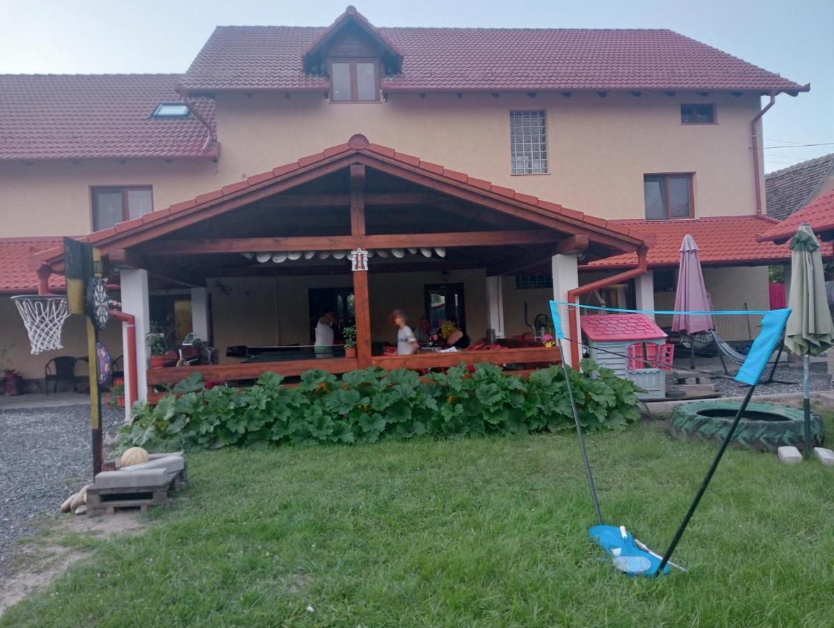 Casa Raisa & Maria Hotel Ocna Sibiului Luaran gambar